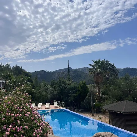 فندق Teras Orhaniye (Marmaris)